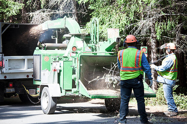 Grass Overseeding in Puget Island, WA